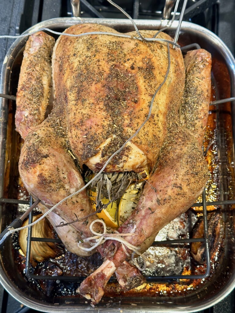 Roasted whole turkey in a roasting pan on the stove