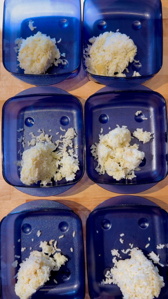 Meal prep containers with left over rice